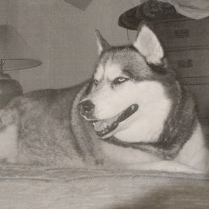 Meet your Posher, Denise